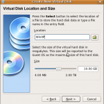 Create New Virtual Disk-Sizing