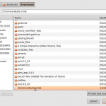 ChromeOS Select a hard disk image file
